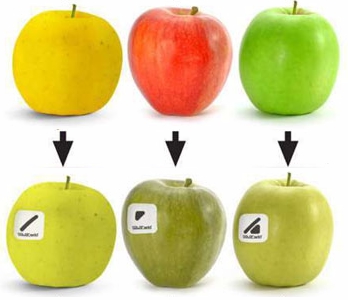 a red, a yellow and a green apple look pretty much the same with red-green-blindness